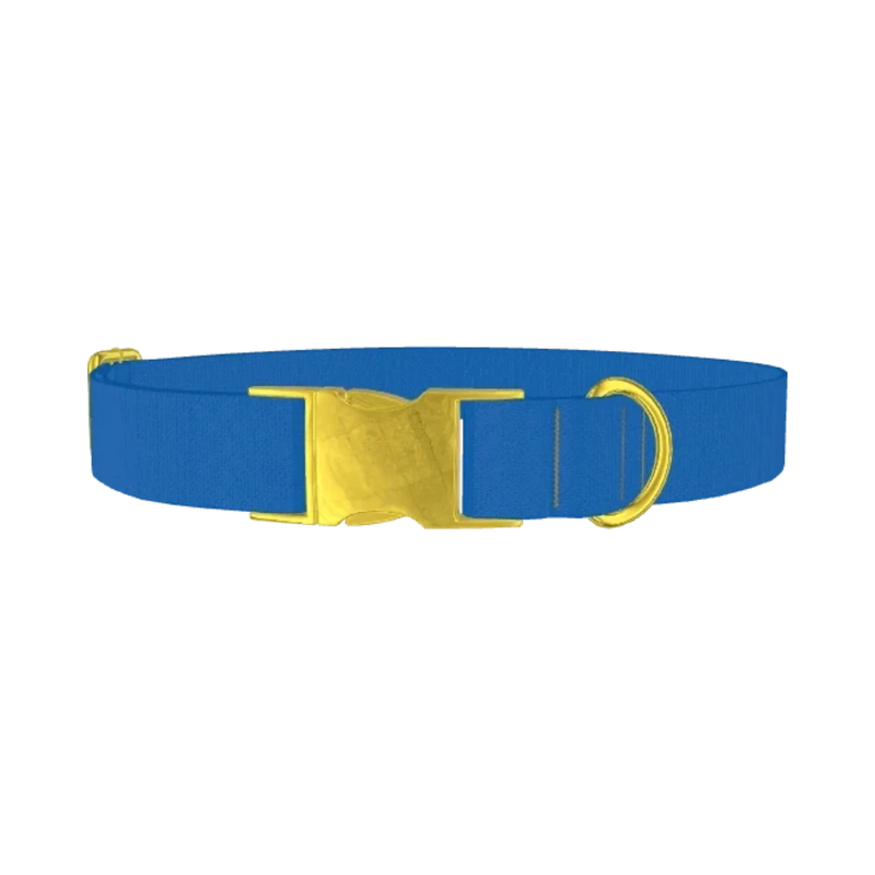 Beautiful Blue Color Dog Collar - metal gold
