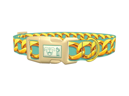 Gold Chain Pattern Dog Collar