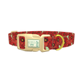 Floral Poppy Dog Collar - plastic gold