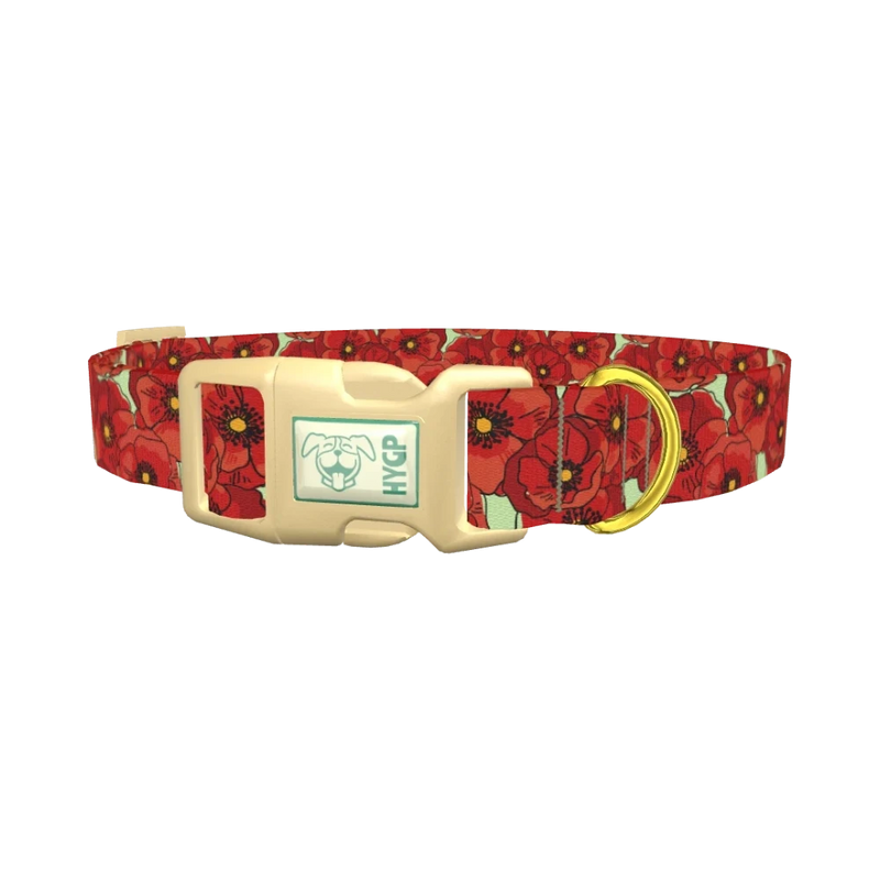 Floral Poppy Dog Collar - plastic gold
