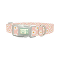 Peach Daisy Pattern Dog Collar - plastic silver