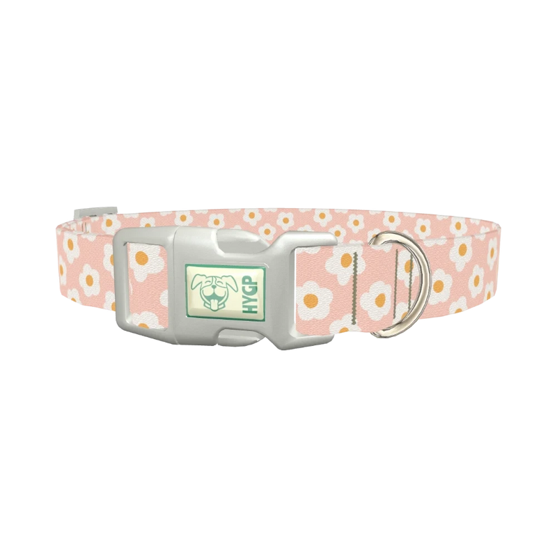 Peach Daisy Pattern Dog Collar - plastic silver