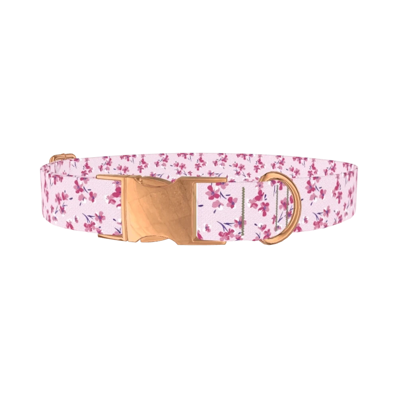 Floral Cherry Blossom Dog Collar - metal rose gold
