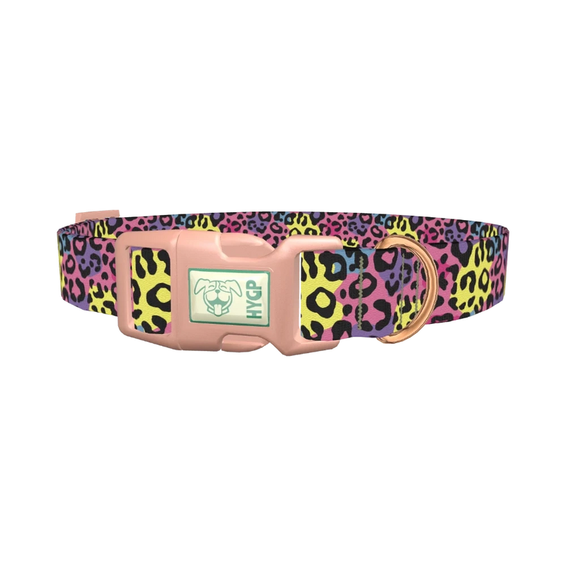Colorful Leopard Print Dog Collar - plastic rose gold