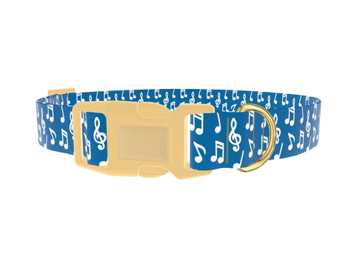 Musical Notes Dog Collar
