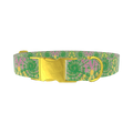 Tie Dye Spiral Dog Collar - metal rose gold