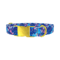 Abstract Paint Splash Dog Collar - metal gold