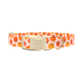 Halloween Pumpkin Dot Dog Collar - plastic rose gold