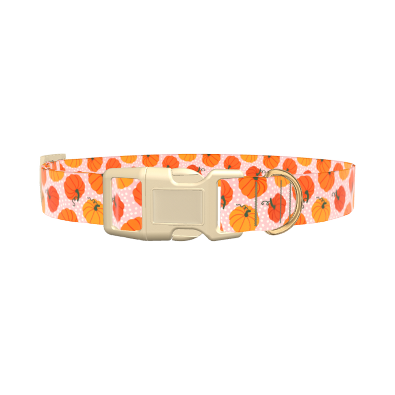 Halloween Pumpkin Dot Dog Collar - plastic rose gold