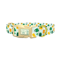 St. Patrick's Day Cheers Dog Collar - plastic gold