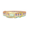 Piano Key Dog Collar - plastic gold