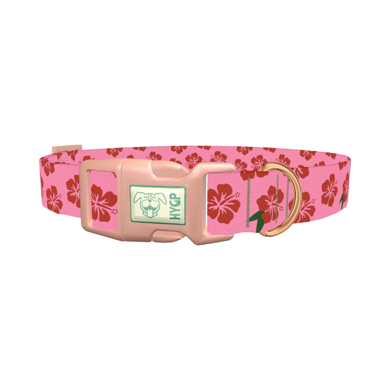 Pink Hibiscus Floral Dog Collar - plastic rose gold