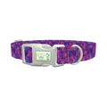 Purple Tie-Dye Dog Collar - plastic silver