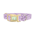 Witchy Magic Elements Dog Collar - plastic gold
