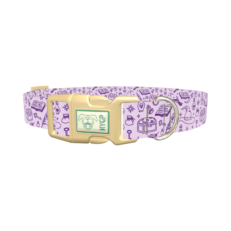 Witchy Magic Elements Dog Collar - plastic gold