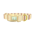 Hexagon Stripe 8870488211671 Dog Collar - plastic gold