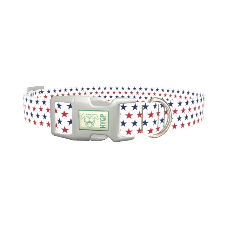 Patriotic Star Dog Collar - plastic silver