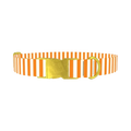 Halloween Stripes Dog Collar - metal gold