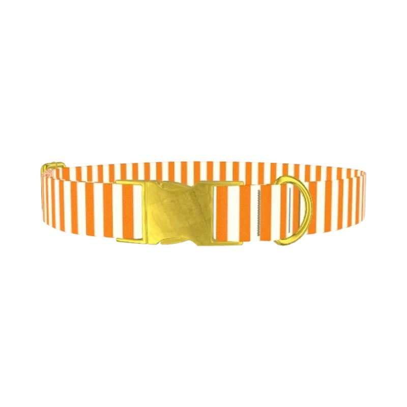 Halloween Stripes Dog Collar - metal gold