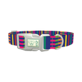Colorful Dual Stripe Dog Collar - plastic silver