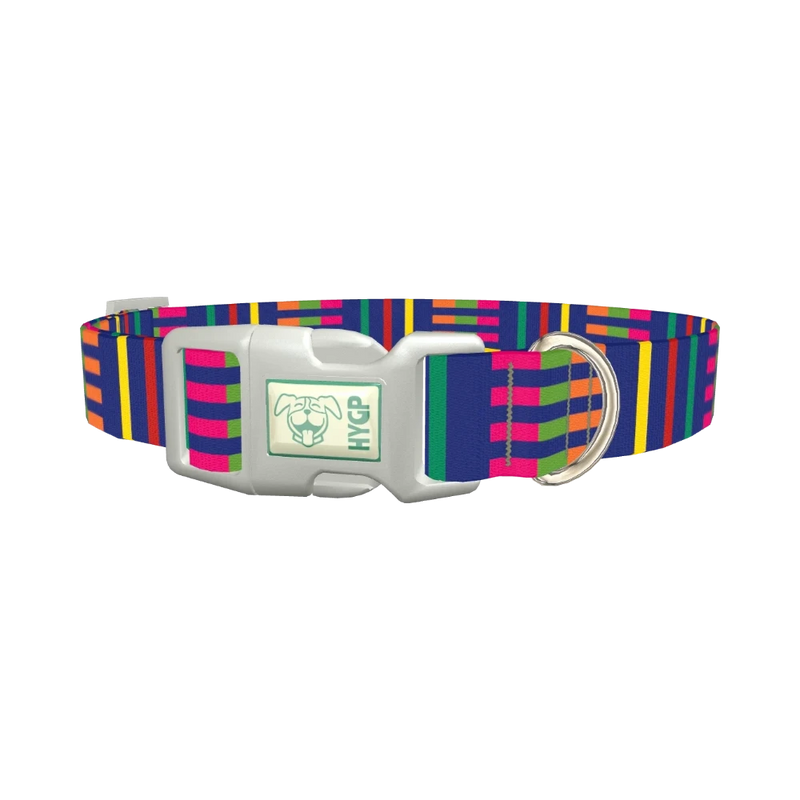 Colorful Dual Stripe Dog Collar - plastic silver