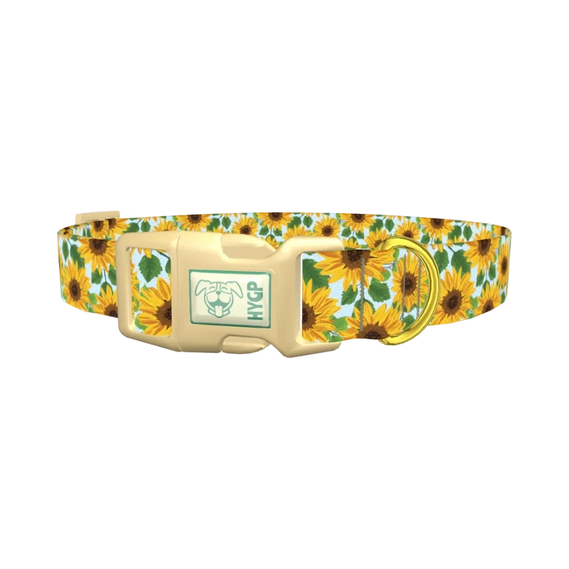 Sunflower Garden Dog Collar - plastic gold