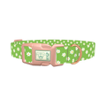 Green Daisy Pattern Dog Collar - plastic rose gold
