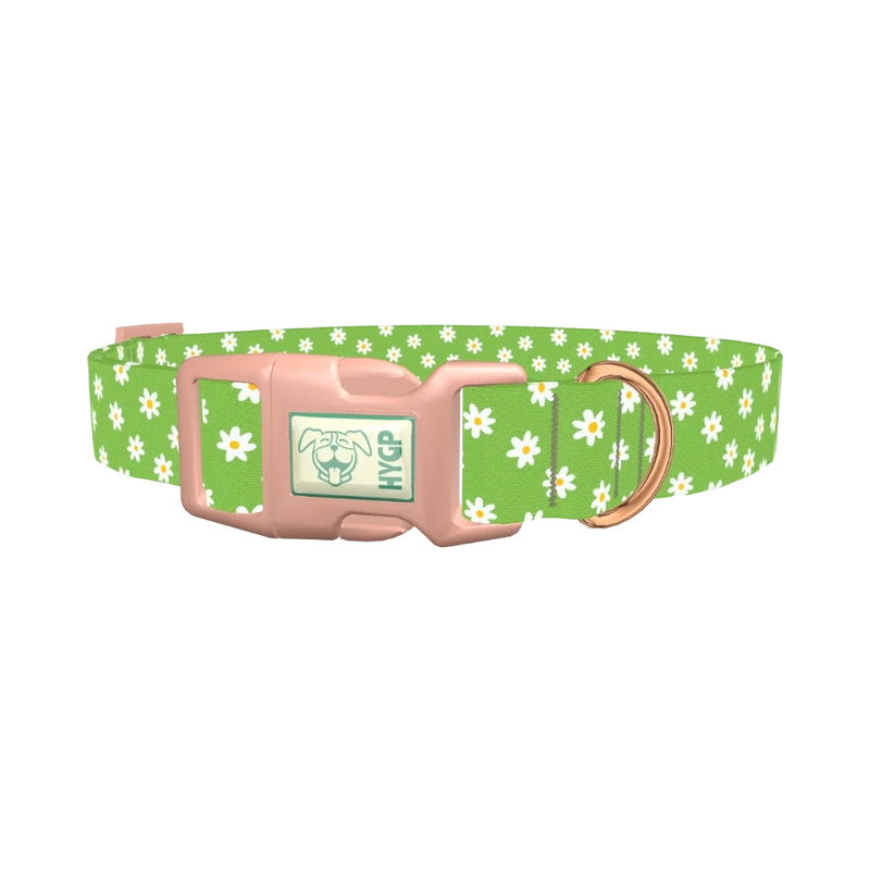 Green Daisy Pattern Dog Collar - plastic rose gold