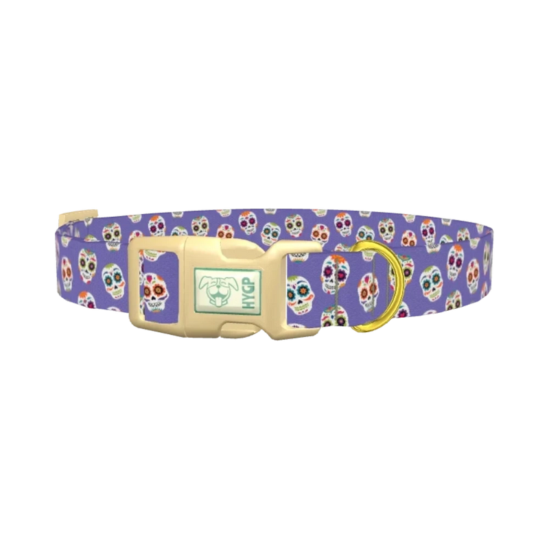Calavera Skull Dog Collar - plastic gold
