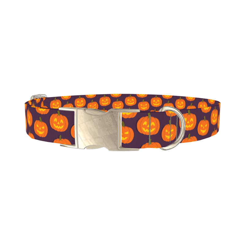 Halloween Pumpkin Dog Collar - metal silver