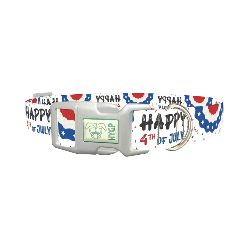 Patriotic 4th of July Dog Collar - plastic silver