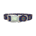 Sunburst Conch Dog Collar - plastic silver