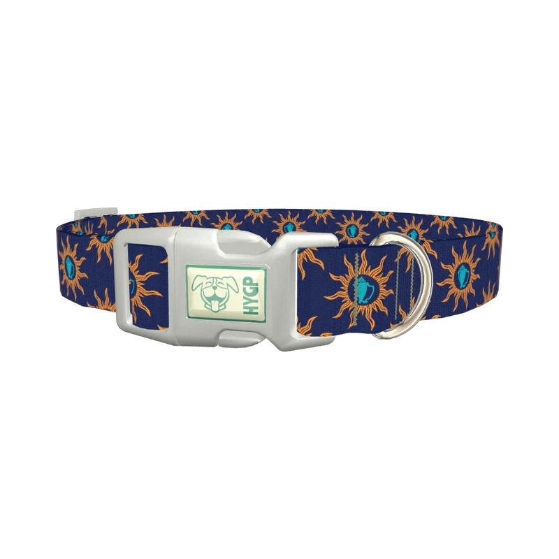 Sunburst Conch Dog Collar - plastic silver