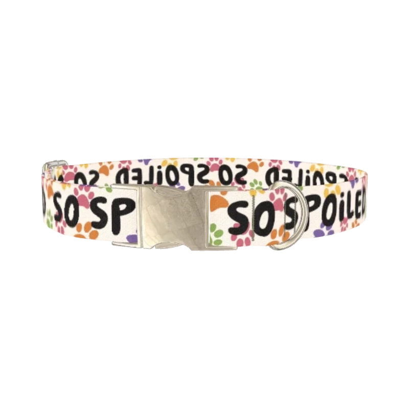 Paw Print Pattern Dog Collar - metal silver