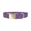 Purple Eye Pattern Dog Collar - metal silver