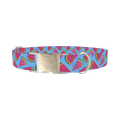 Geometric Watermelon Dog Collar - metal silver