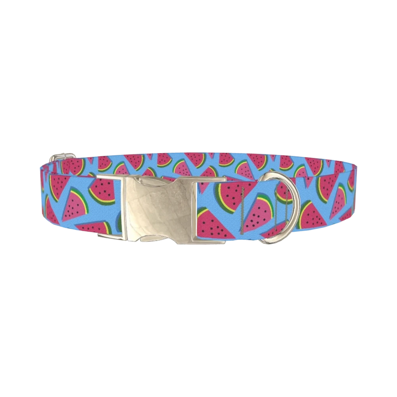 Geometric Watermelon Dog Collar - metal silver