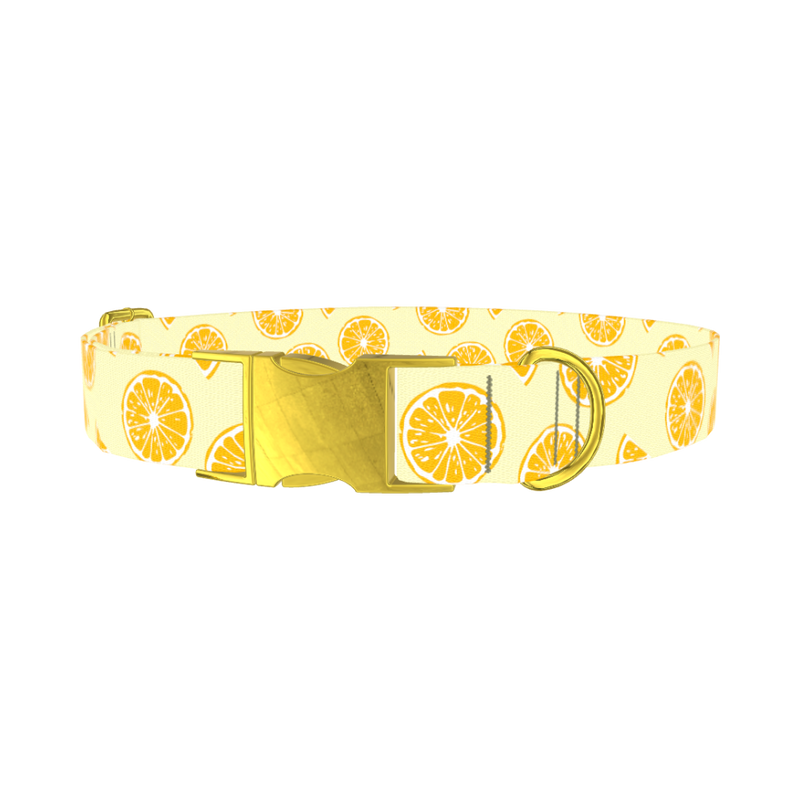 Yellow Citrus Slice Dog Collar - metal gold