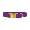 Maximum Purple Color Dog Collar - metal gold
