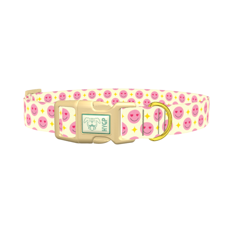 Valentine Smiley Dog Collar - plastic gold