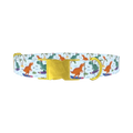 Dinosaur Surf Dog Collar - metal gold