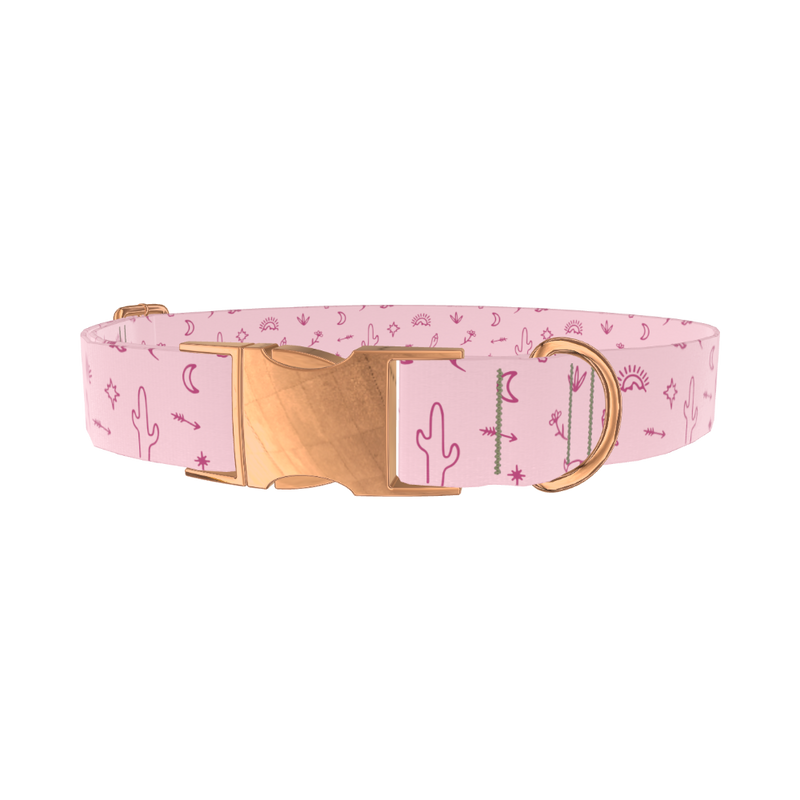 Desert Cactus Dog Collar - metal silver