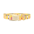 Surfboard Beach Dog Collar - plastic silver