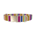 Purple Blue Green Stripes Dog Collar - metal silver