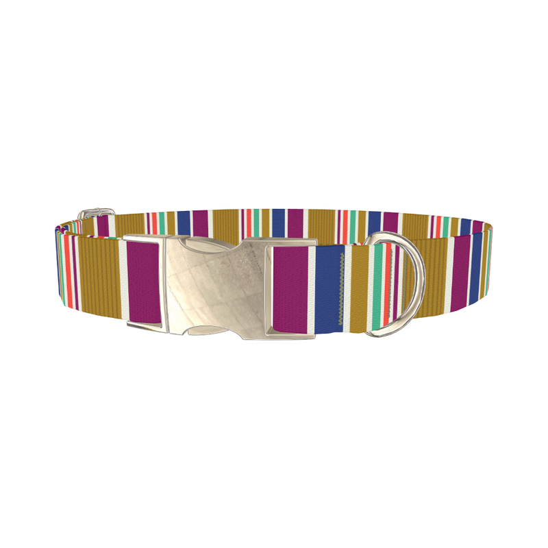 Purple Blue Green Stripes Dog Collar - metal silver