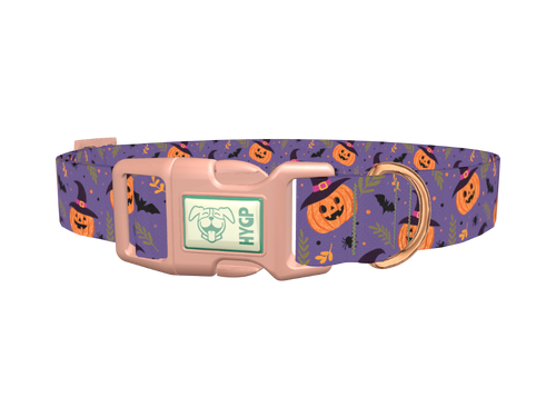 Halloween Witchy Pumpkin Dog Collar