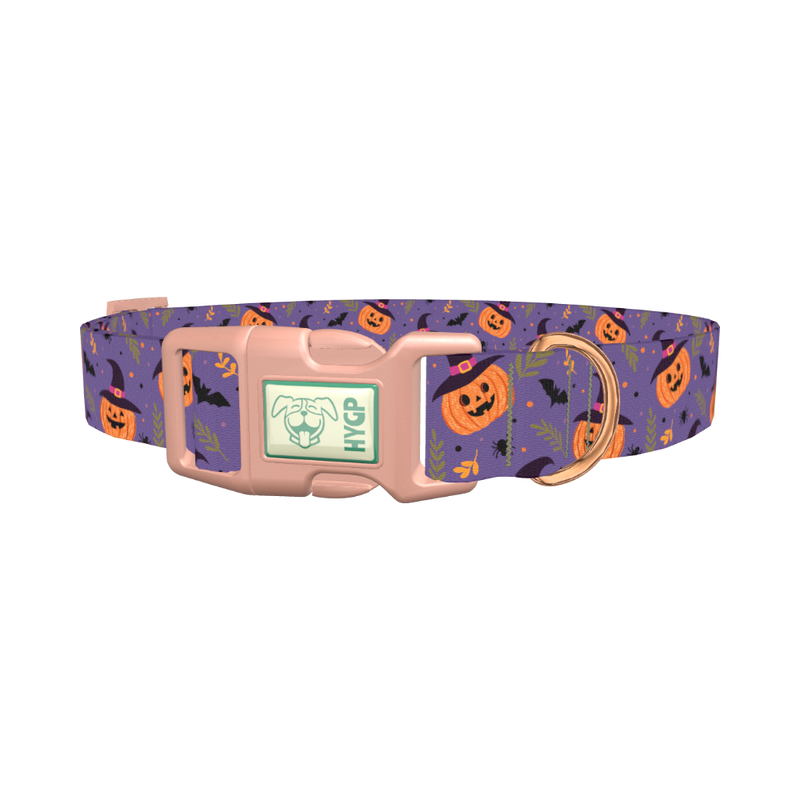 Halloween Witchy Pumpkin Dog Collar - plastic rose gold