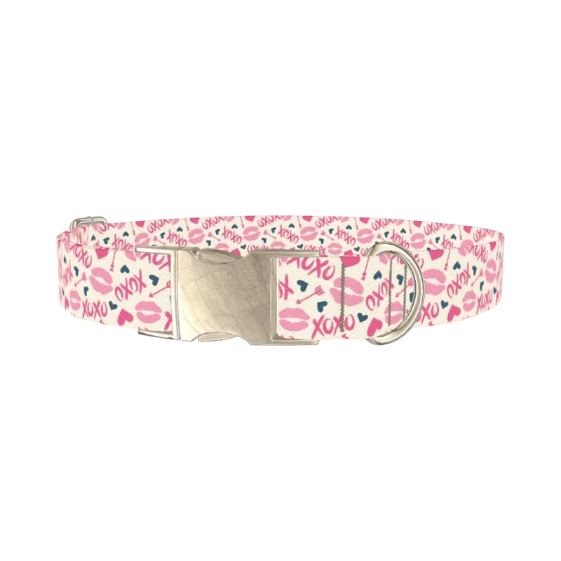 Valentine's Heart Dog Collar - metal silver