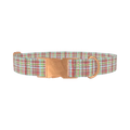 Colorful Plaid Dog Collar - metal rose gold