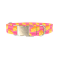 Pink Cheese Slice Dog Collar - metal silver